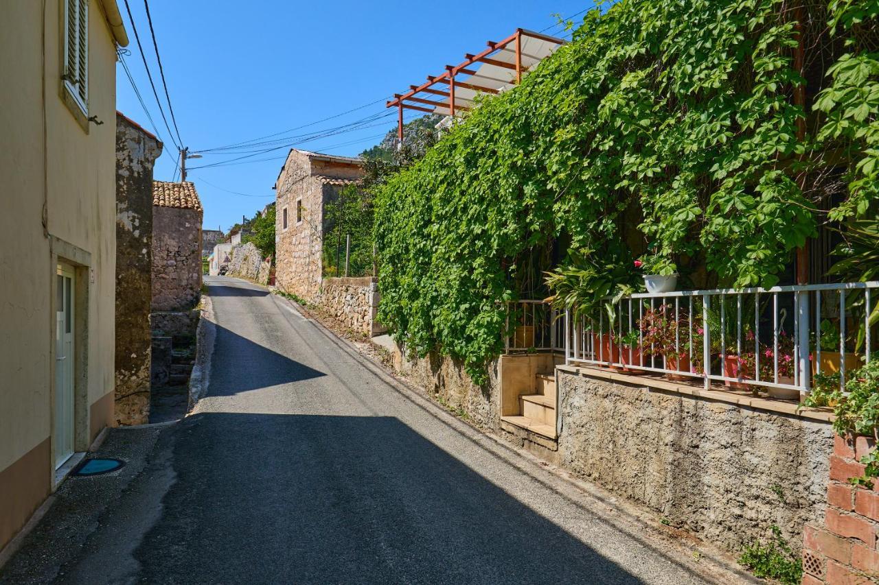 Apartmán Stone House Biskup Babino Polje Exteriér fotografie